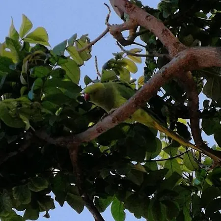 Parque Santiago 1 On The Coastline *