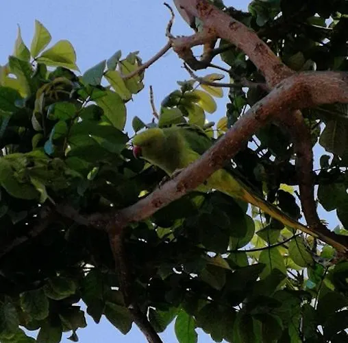 Parque Santiago 1 On The Coastline *